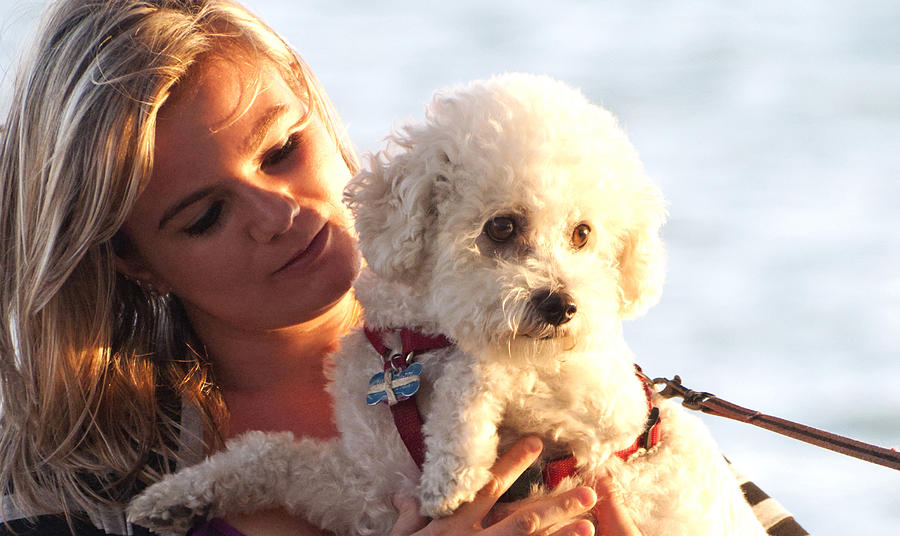 Young American Woman And Poodle At Sunset Photograph By Sally Rockefeller