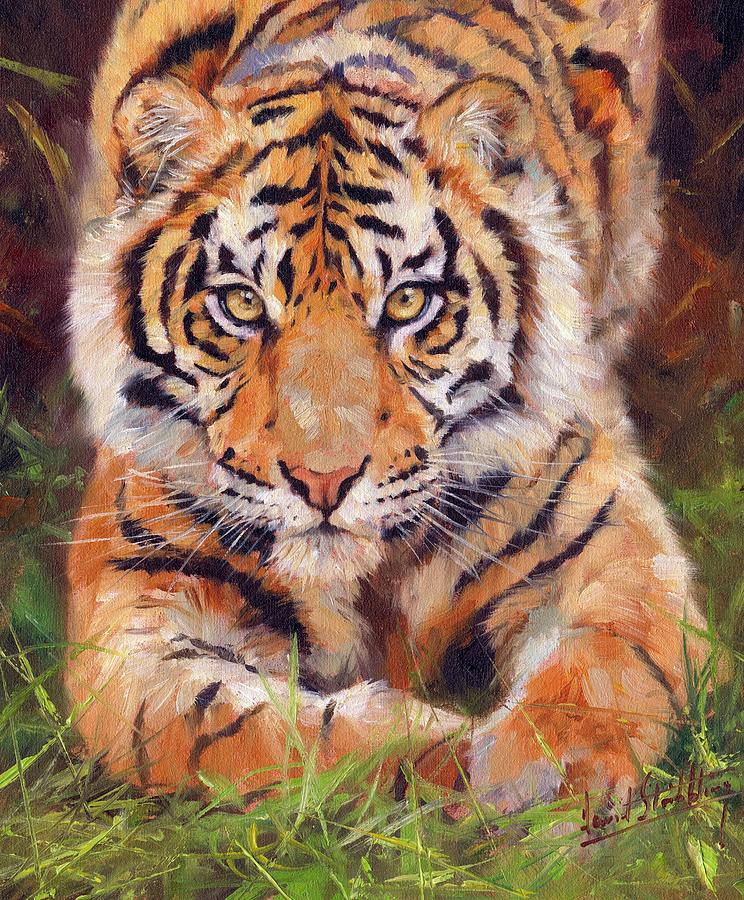Young Amur Tiger Painting by David Stribbling