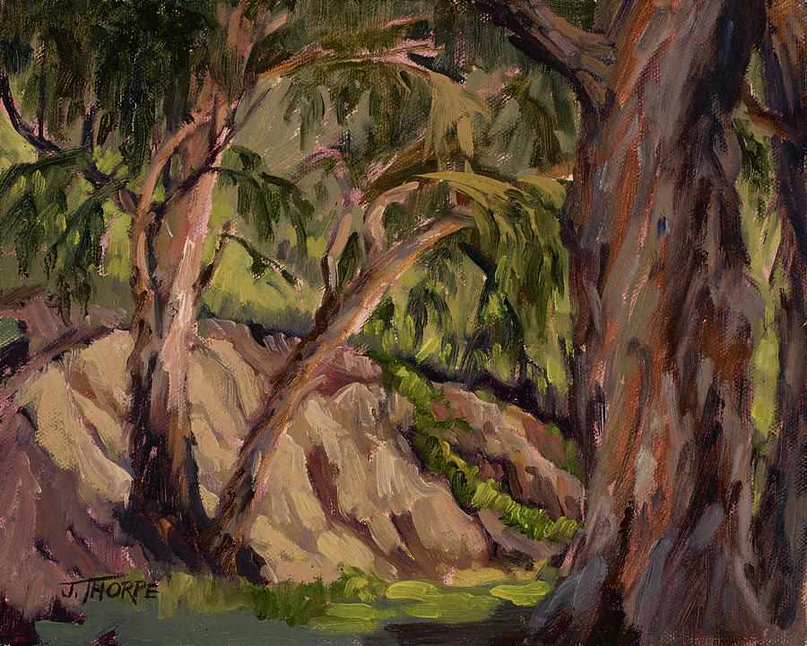 Young and Old Eucalyptus Painting by Jane Thorpe