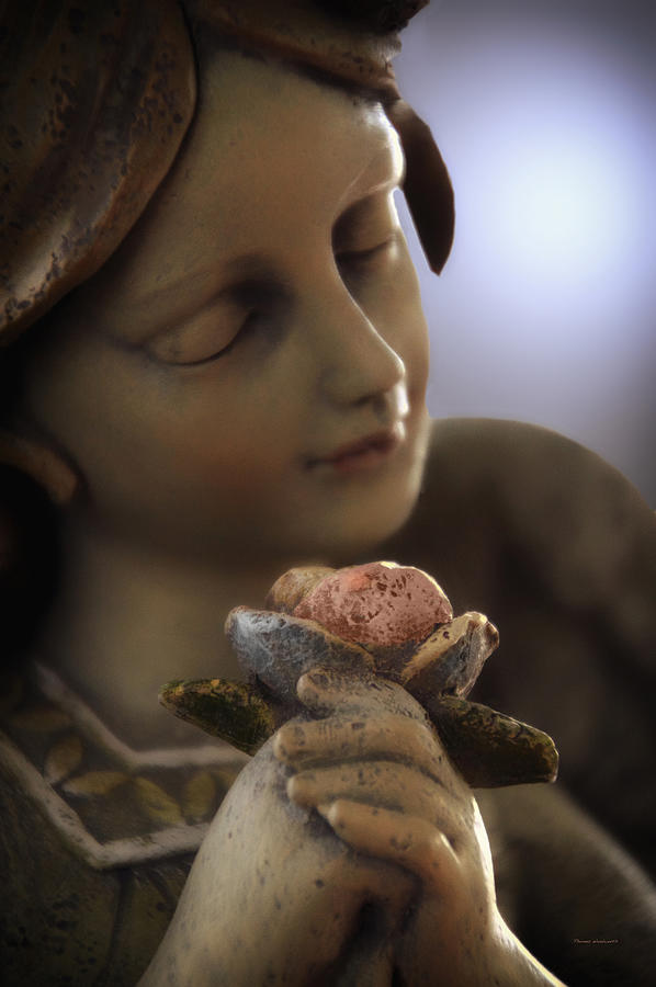 Fantasy Photograph - Young Angel With A Rose by Thomas Woolworth