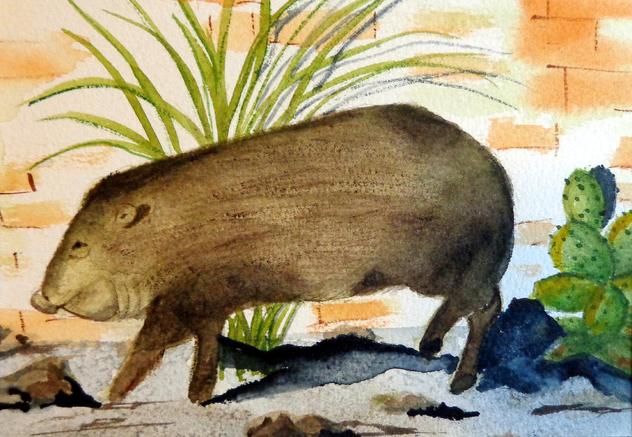 Young Arizona Javelina Painting by Karen Gartley Bush - Fine Art America