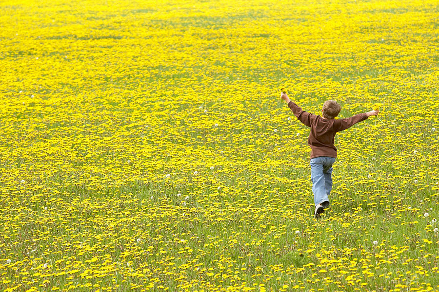 Light Photograph - Young Boy Running Through Field Of by Gemstone Images