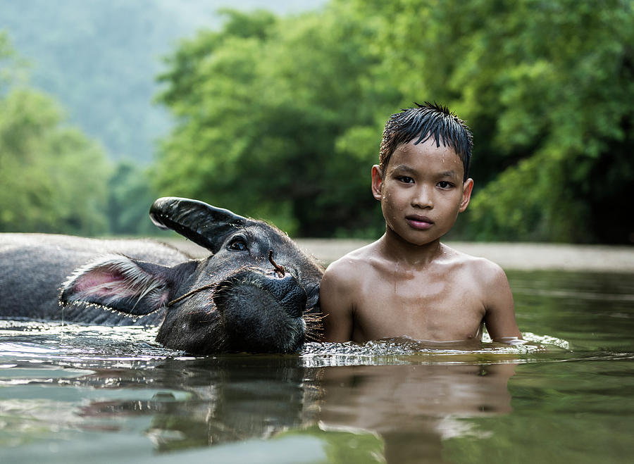 Young Boy With Water Buffalo In River Photograph by Martin Puddy