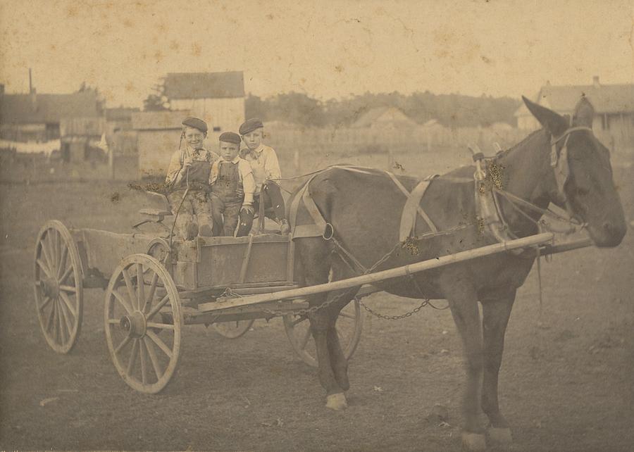 Young Boys in Horse Drawn Wagon - Tracy City Tennessee Photograph by ...