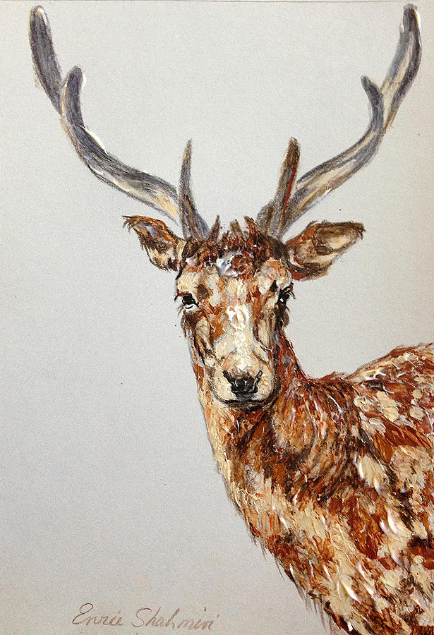 Wildlife Painting - Young Buck by Portraits By NC