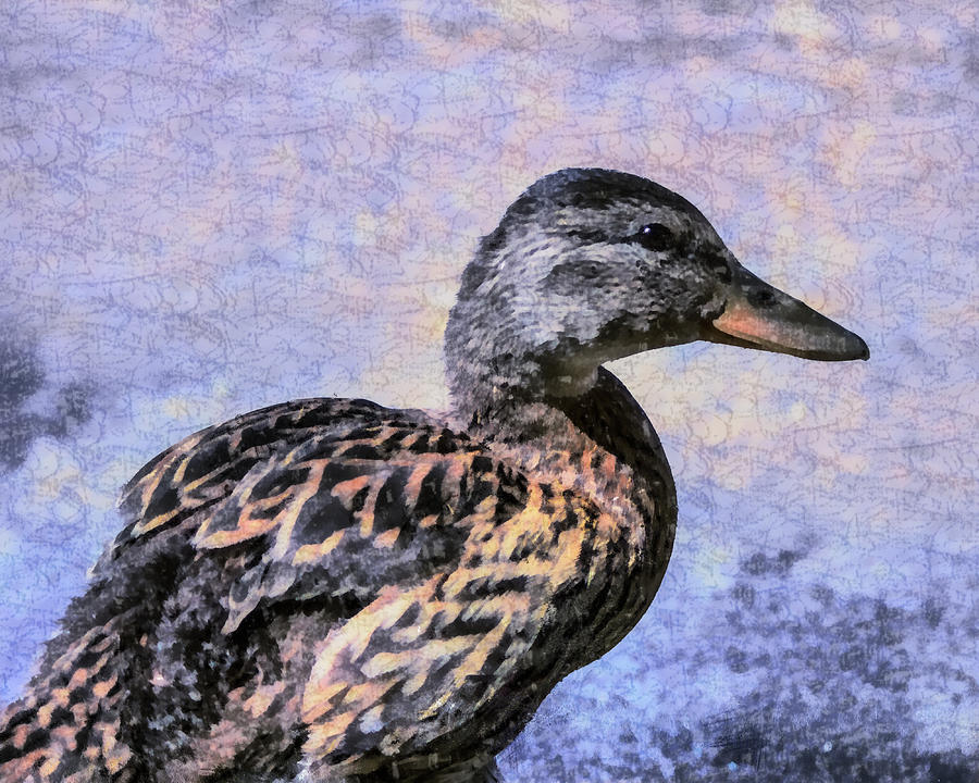 Young Duck Smile Digital Art by Priya Ghose