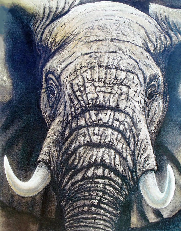 Young Elephant Portrait Painting by David Clode