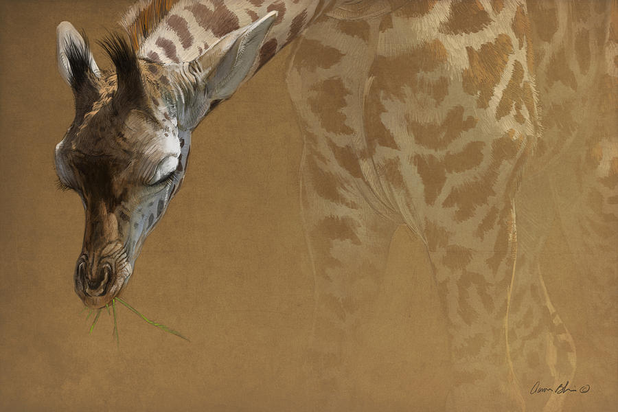 Giraffe Digital Art - Young Giraffe by Aaron Blaise