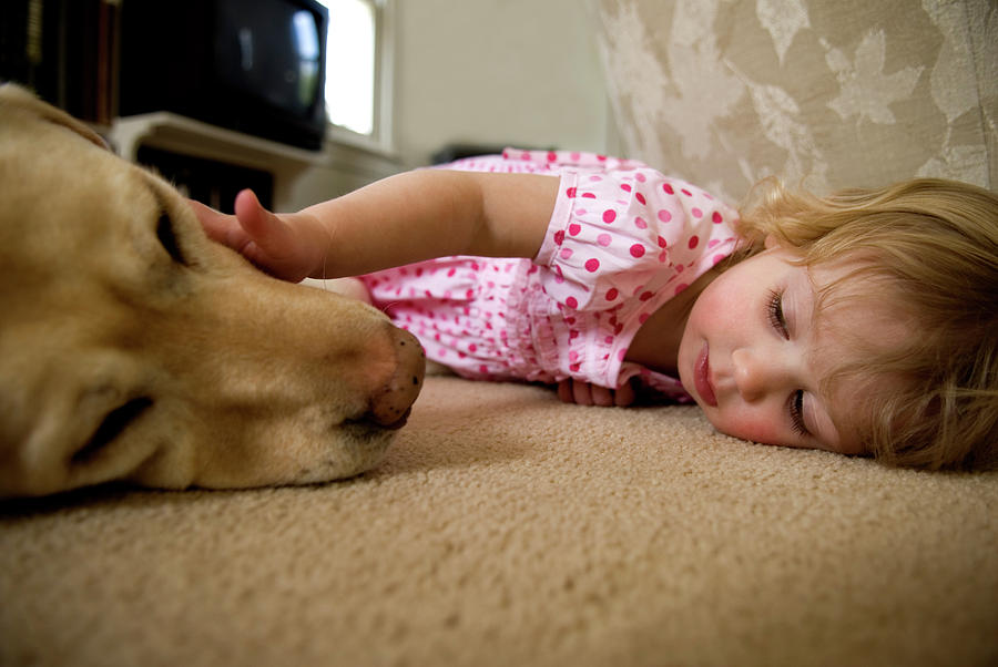 Animal Photograph - Young Girl And Dog Lying On Carpet by Peter Dennen