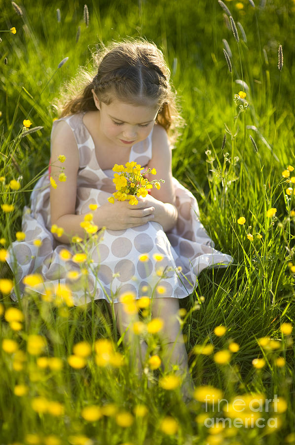 Young Girl In A Buttercup Meadow Photograph by Lee Avison