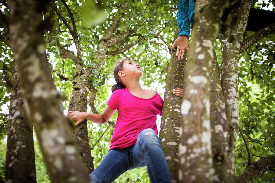 Young Girls Climbing Trees by Christopher Kimmel