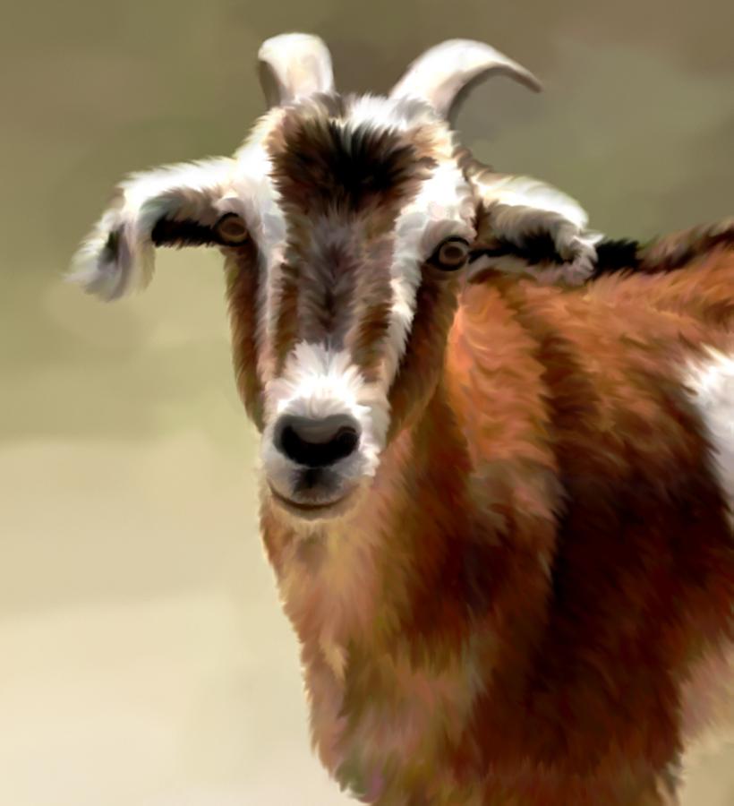 goat pictures to print