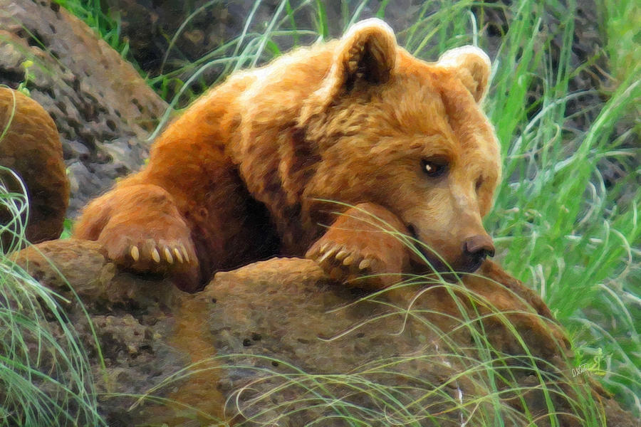 Wildlife Painting - Young Grizzly Napping by Dean Wittle