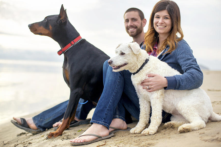 Young heterosexual couple at the beach with their pets Photograph by FatCamera