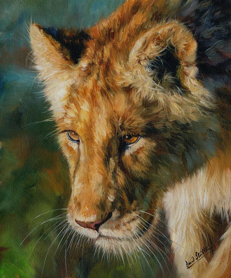 Young Lion Painting by David Stribbling