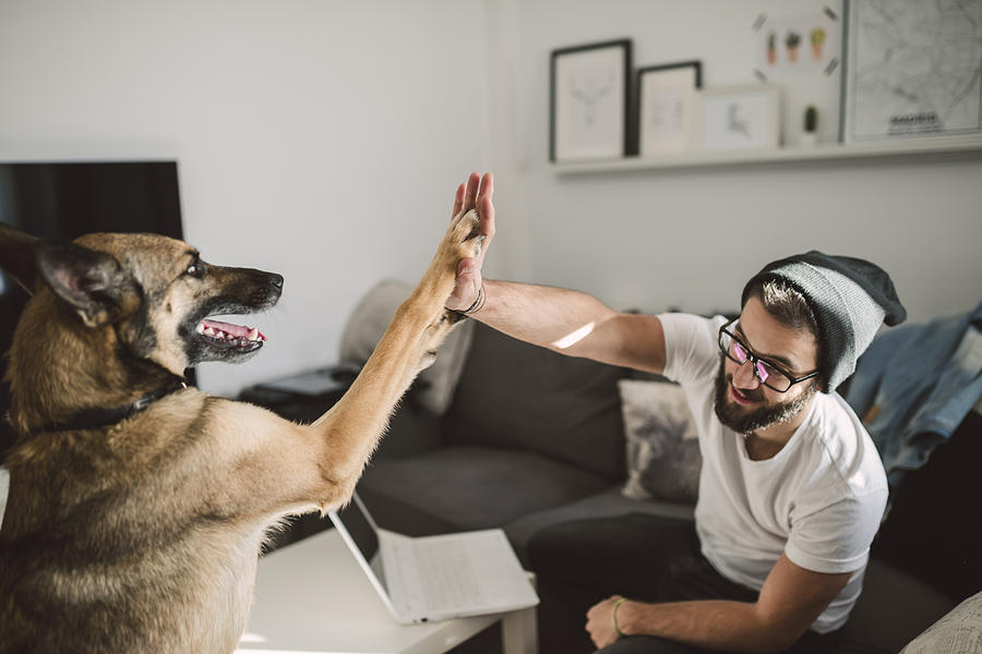 Young man at home giving high five with his dog Photograph by Westend61