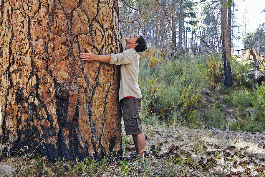 Young man in forest hugging large tree trunk, Los Angeles, California, USA Photograph by Tony Garcia