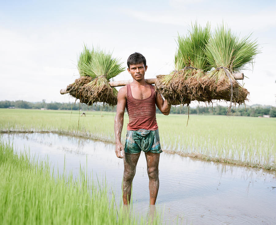 Young man in rice paddies Photograph by Michael Hall