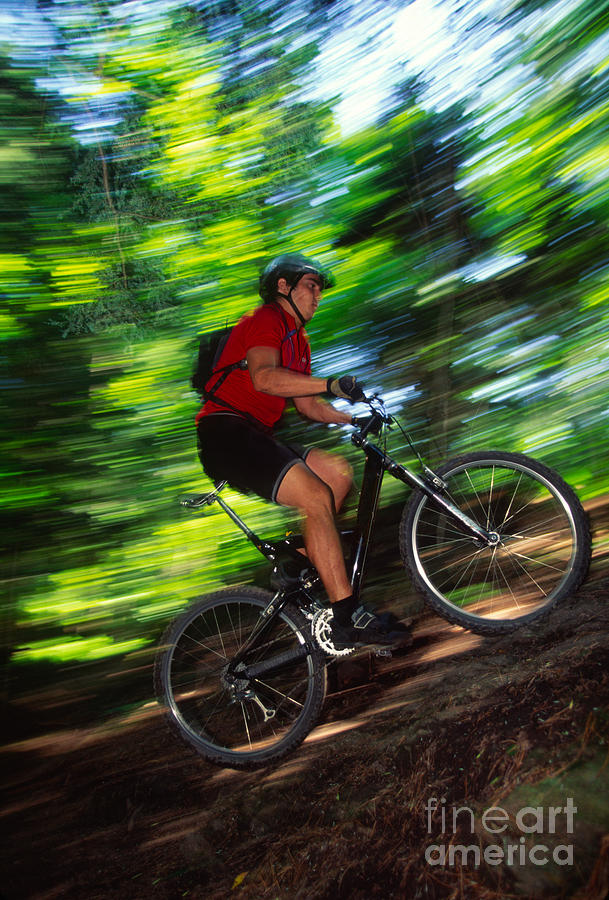 Young man mountain biking in a forest Stowe VT USA Photograph by Don Landwehrle