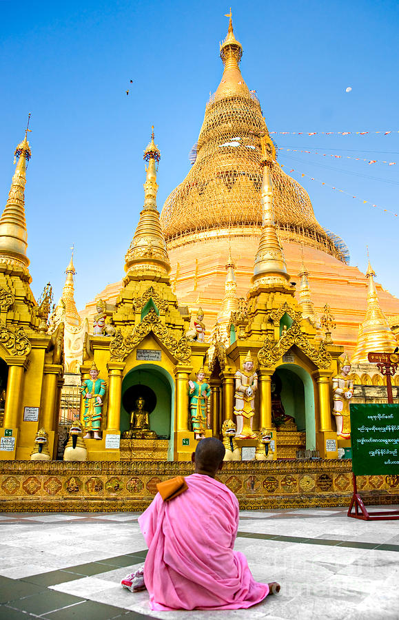 Young nun praying at the Shwedagon Paya - Yangoon Photograph by Luciano Mortula