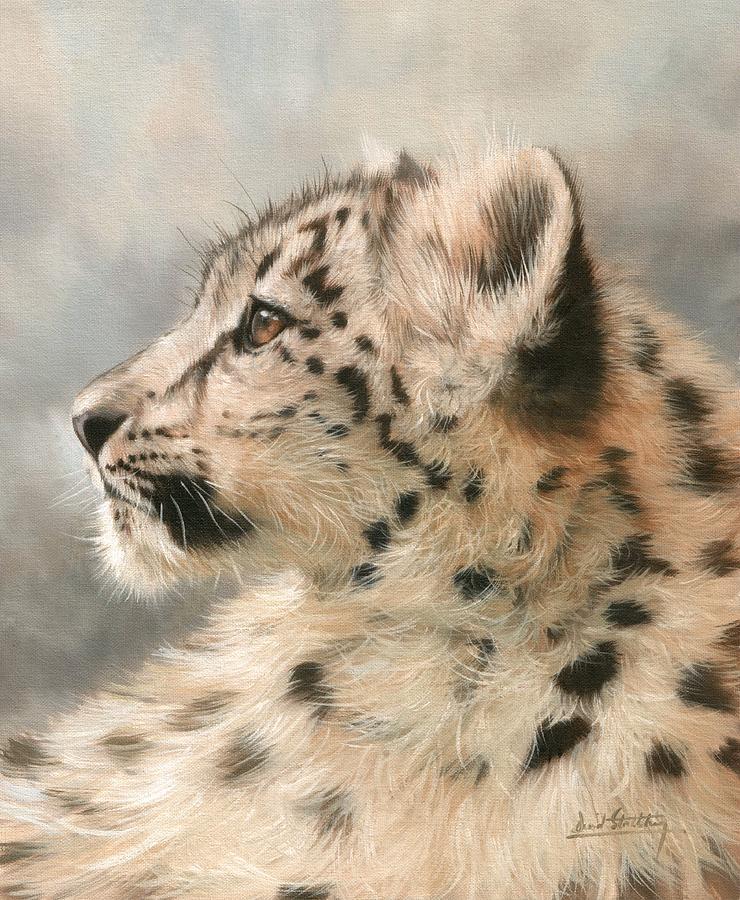 Young Snow Leopard Painting by David Stribbling