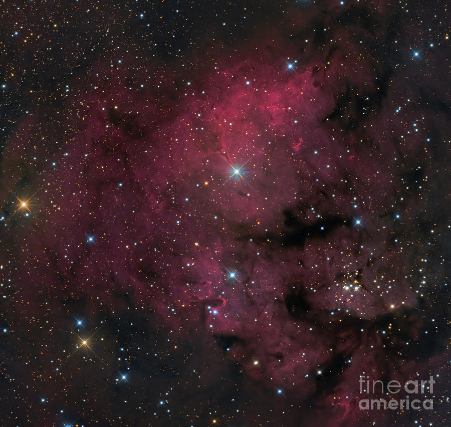 Young Star-forming Complex Ngc 7822 Photograph by Michael Miller