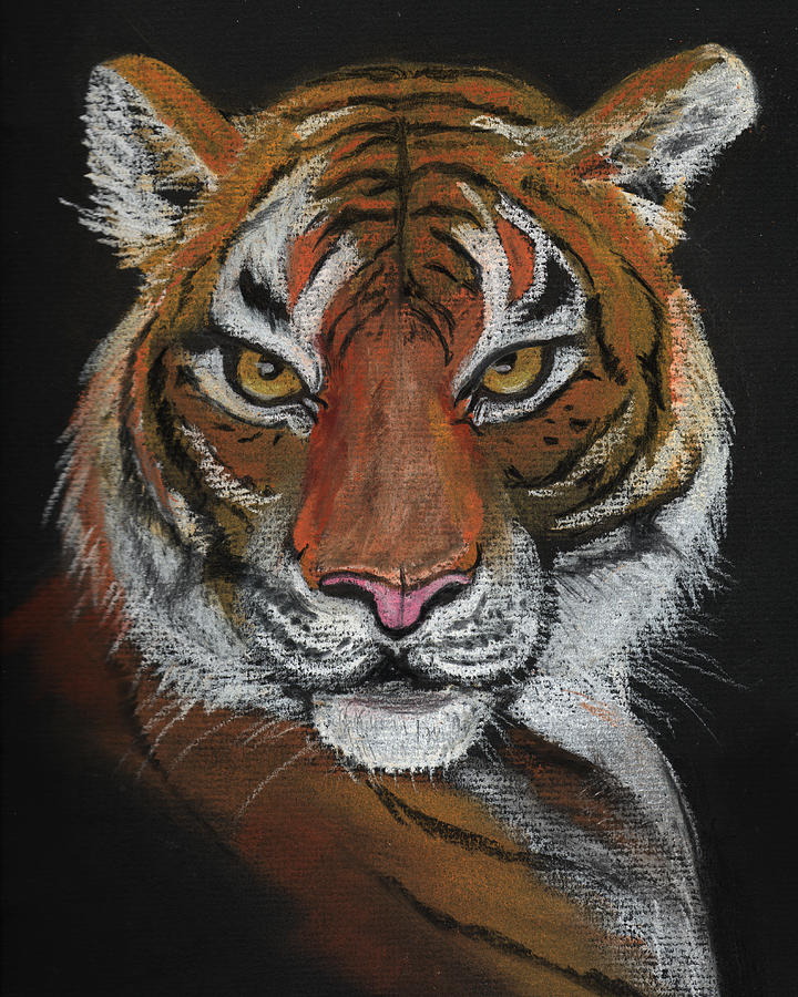 Young Tiger Painting by Dorothy Riley
