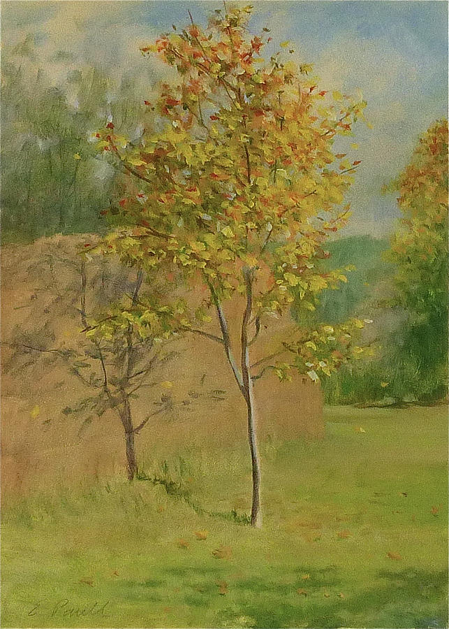 Young Tree in Autumn Painting by Ellen Paull