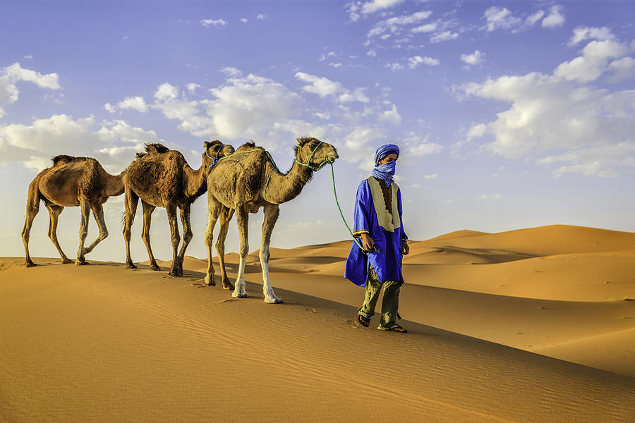 Young Tuareg with camels on Western Sahara Desert in Africa Photograph by Hadynyah