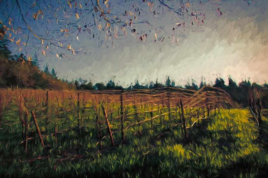 Grape Mixed Media - Young Vines on Trellis by John K Woodruff