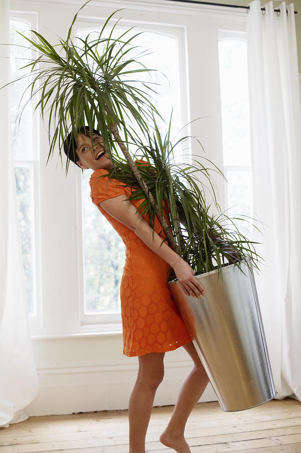 Young woman carrying large pot plant in house, yelling Photograph by Tim Robberts
