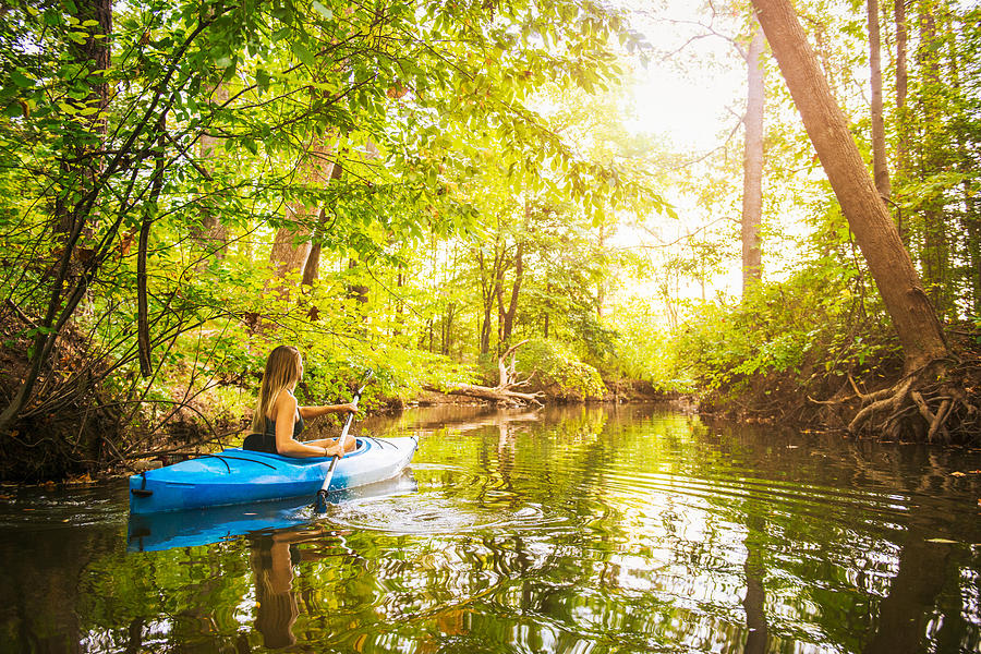 Young woman kayaking on forest river, Cary, North Carolina, USA Photograph by Corey Jenkins