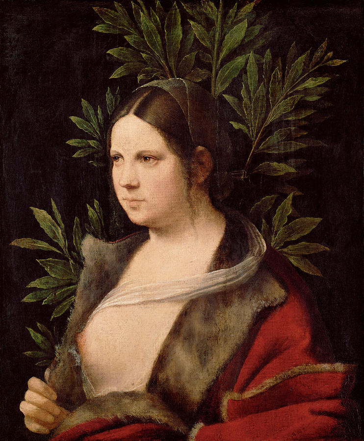 Young Woman. Laura Painting by Giorgione