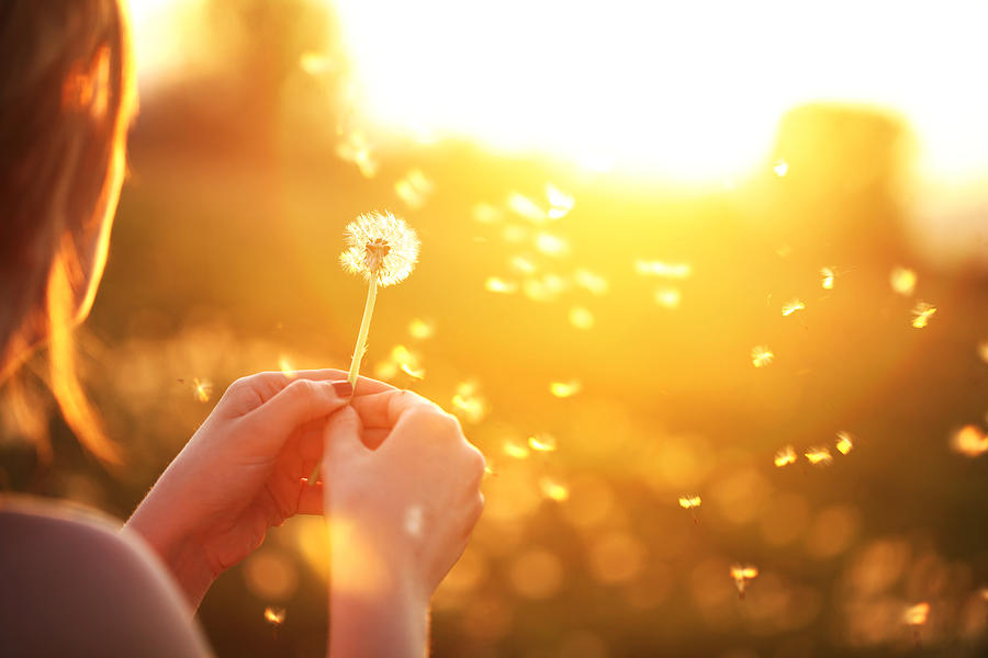 Young woman playfully blowing a dandelion Photograph by AleksandarNakic