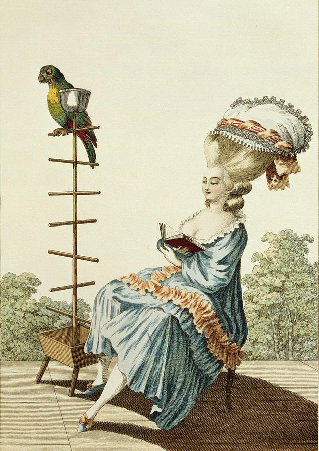 Parrot Drawing - Young Woman Reading In A Day Dress by Claude Louis Desrais
