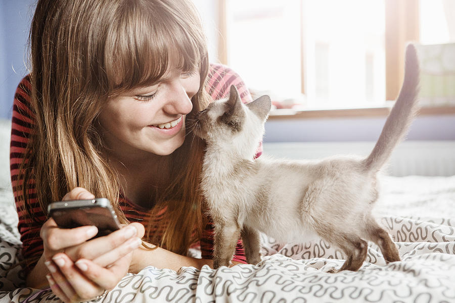 Young woman with phone gets cuddles from kitten. Photograph by Betsie Van Der Meer