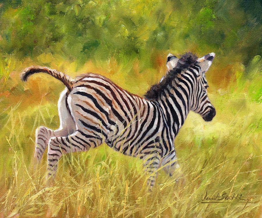 Zebra Painting - Young Zebra by David Stribbling