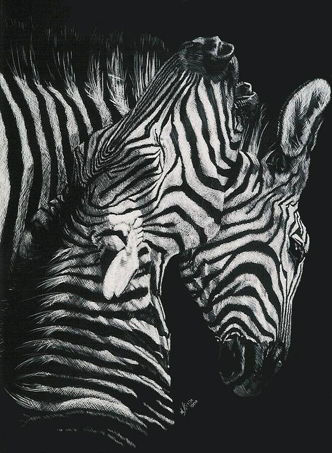 Wildlife Drawing - Youngbloods by Barbara Keith