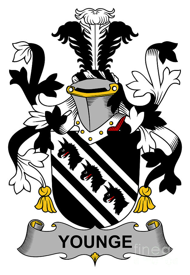 Younge Coat of Arms Irish Photograph by Heraldry