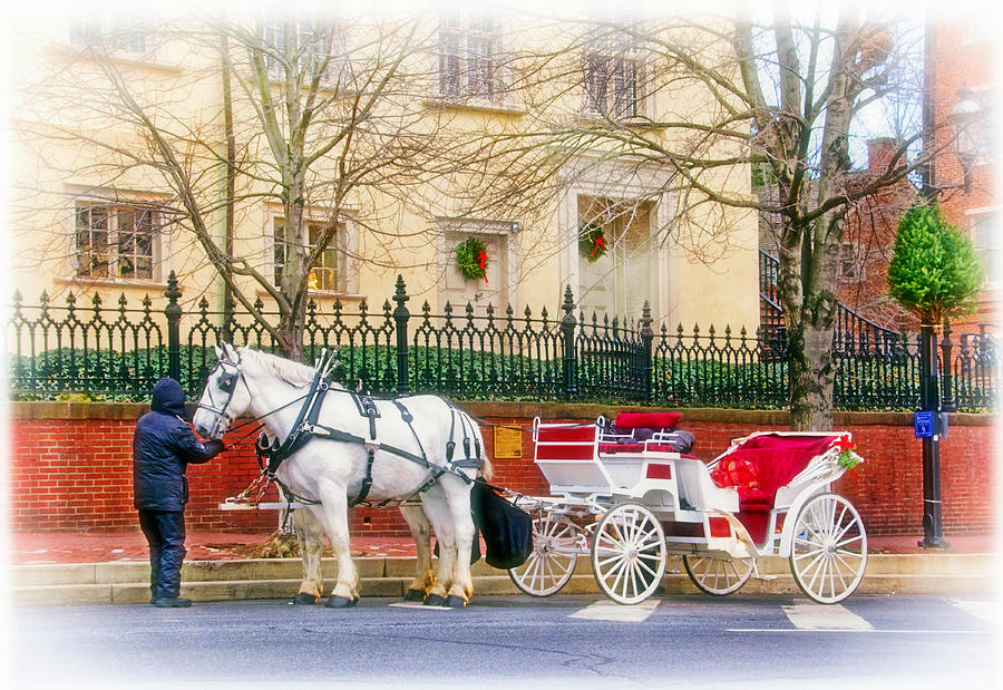 Your Carriage Awaits Photograph by Carolyn Derstine