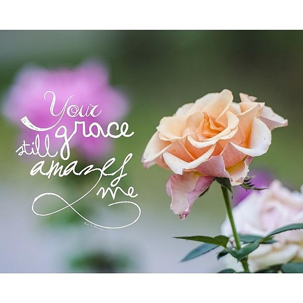 your Grace Still Amazes Me,
Your Photograph by Traci Beeson your Grace Still Amazes Me,
Your Photograph by Traci Beeson