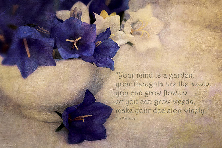 Your Mind Is A Garden... Photograph by Maria Angelica Maira