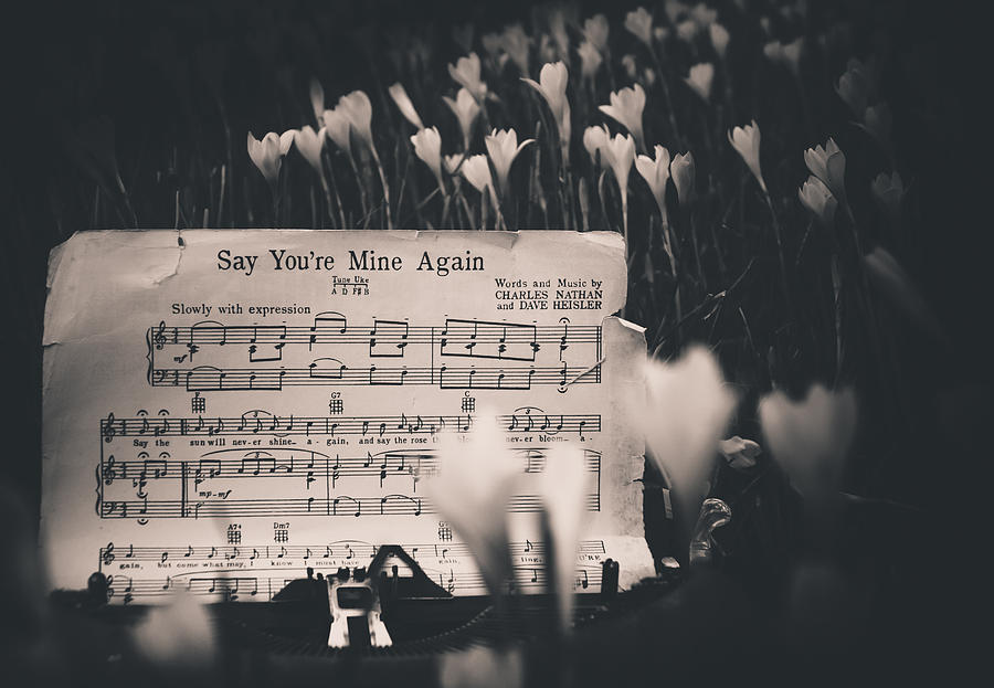 Your Mine Again by Jamian Stayt Your Mine Again by Jamian Stayt