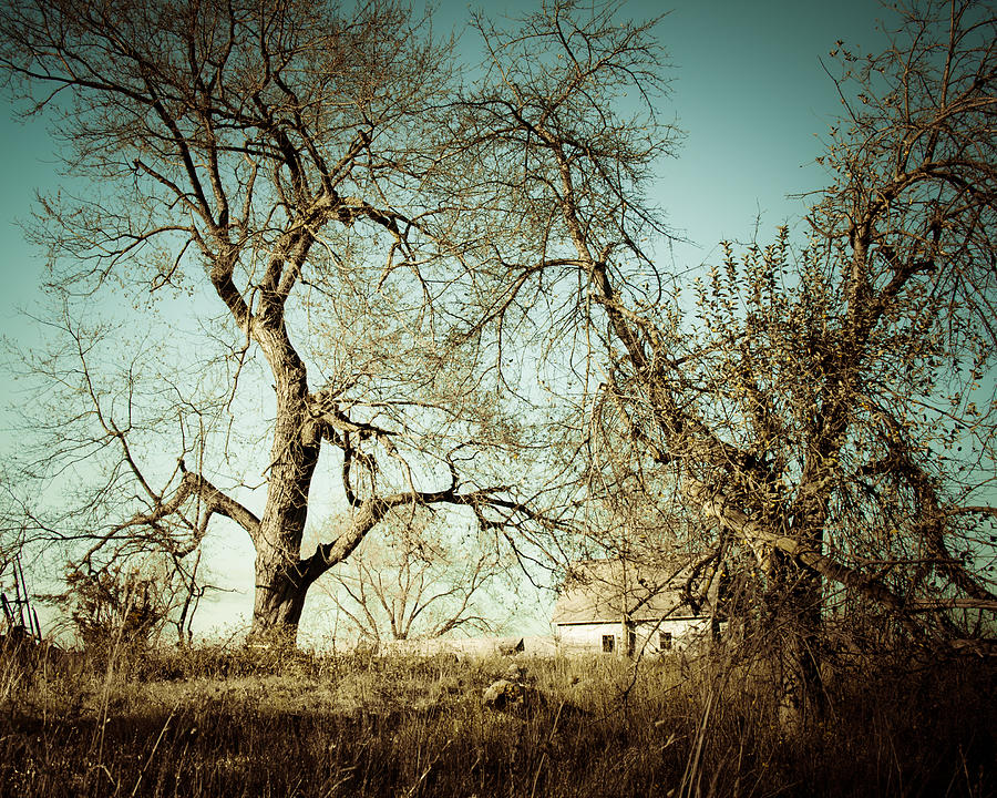 Your Old Home Photograph by Corinne Schwarz - Fine Art America