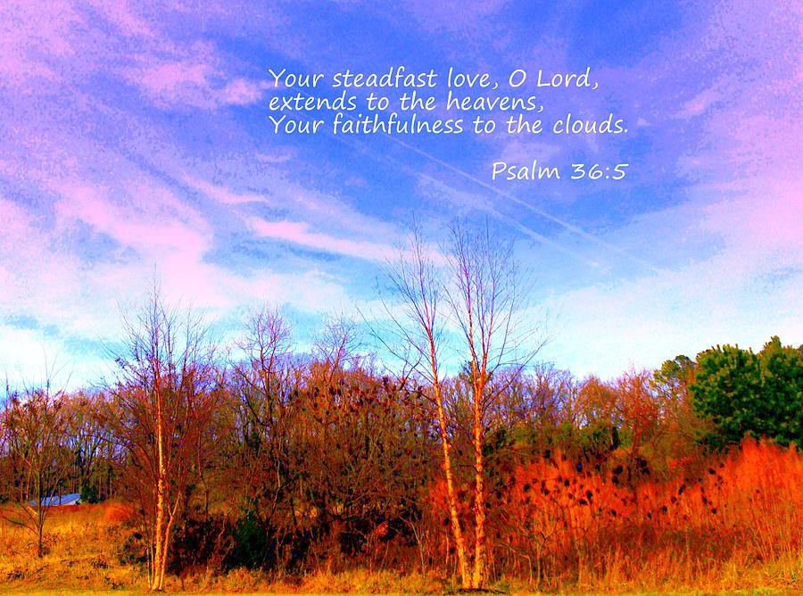 Your Steadfast Love O Lord Photograph by Pamela Hyde Wilson
