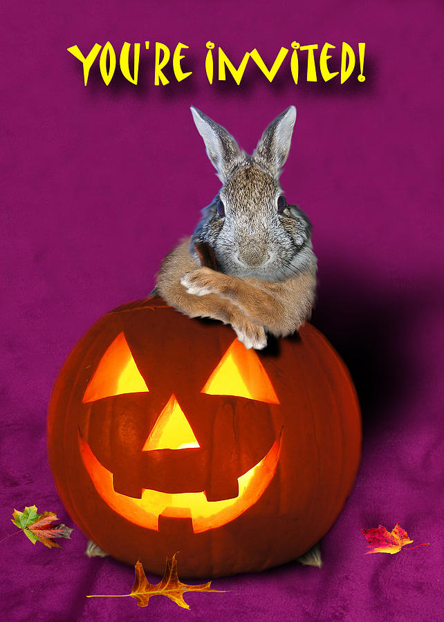 Pumpkin Photograph - Youre Invited Halloween Bunny Rabbit by Jeanette K
