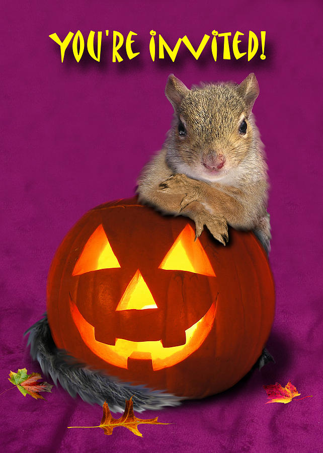 Pumpkin Photograph - Youre Invited Halloween Squirrel by Jeanette K