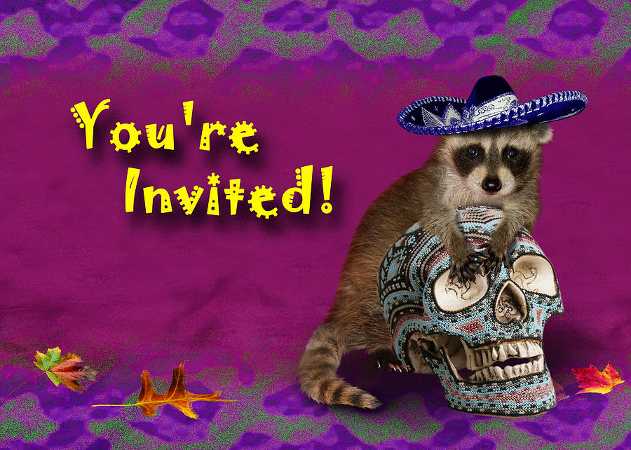 Candy Photograph - Youre Invited Raccoon by Jeanette K