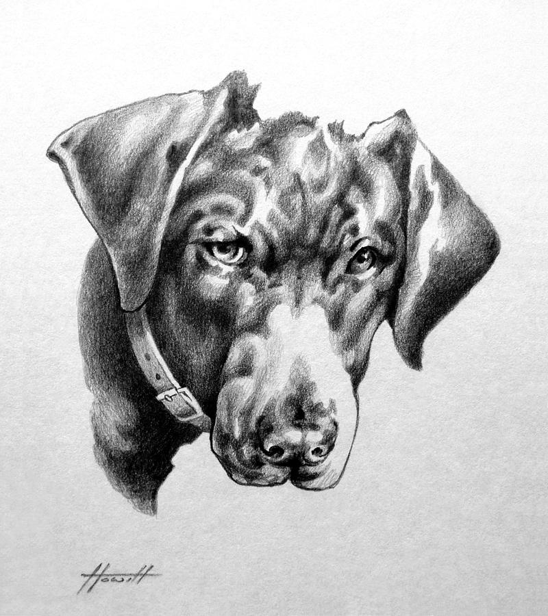 Dog Drawing - Youre Kidding by Patricia Howitt