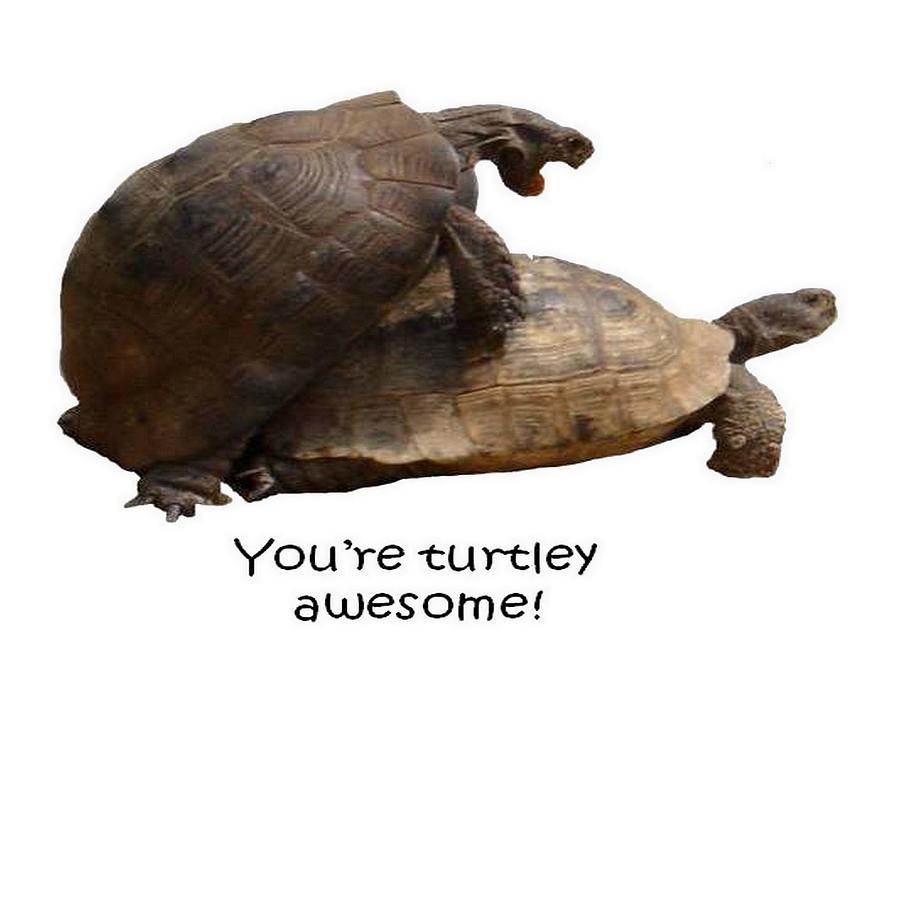 Youre Turtley Awesome Photograph by Taiche Acrylic Art